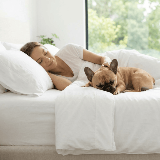 For Dog Owners Who Love Their Dog But Also Love Breathing - SoftLanding